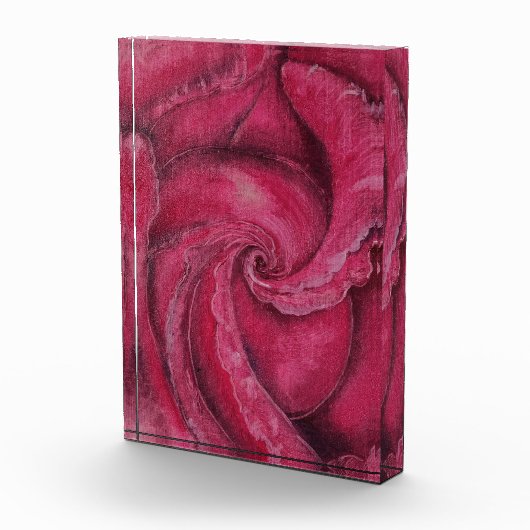 Rote Rose nah Fotoblock (Rechts)