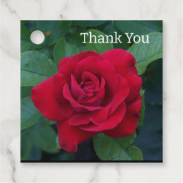 Rote Rose Nah Geschenkanhänger