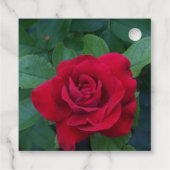 Rote Rose Nah Geschenkanhänger (Rückseite)