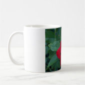 Rote Rose Nah Kaffeetasse (Links)