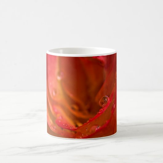 Rote Rose Nah Kaffeetasse (Mittel)