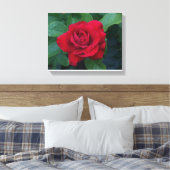 Rote Rose Nah Leinwanddruck (Insitu (Schlafzimmer))