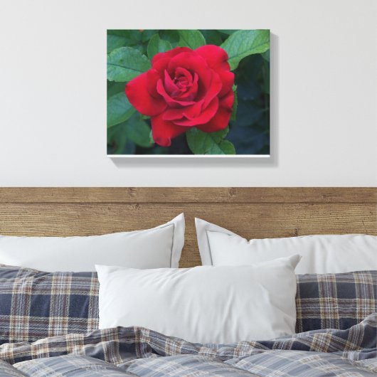 Rote Rose Nah Leinwanddruck (Insitu (Schlafzimmer))