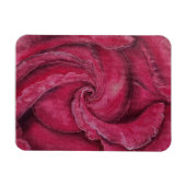 Rote Rose nah Magnet (Horizontal)