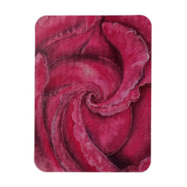 Rote Rose nah Magnet