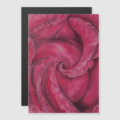 Rote Rose nah Magnetkarte (Vorne/Hinten)