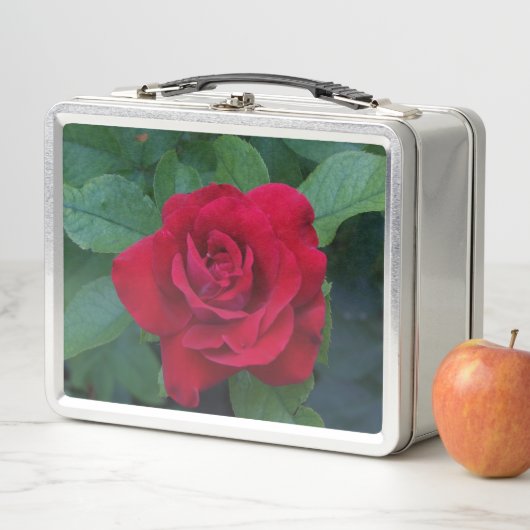Rote Rose Nah Metall Brotdose (Beispiel)