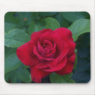 Rote Rose Nah Mousepad