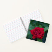 Rote Rose Nah Notizblock (Innenseite)