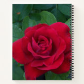 Rote Rose Nah Notizblock (Rückseite)