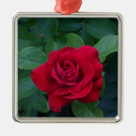 Rote Rose Nah Ornament Aus Metall