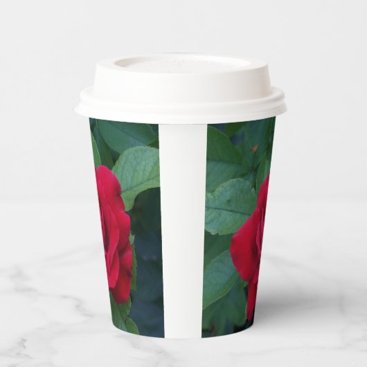 Rote Rose Nah Pappbecher (Links)