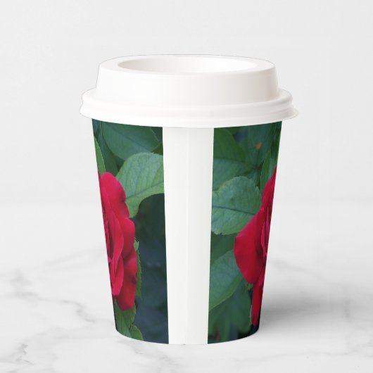 Rote Rose Nah Pappbecher (Rechts)