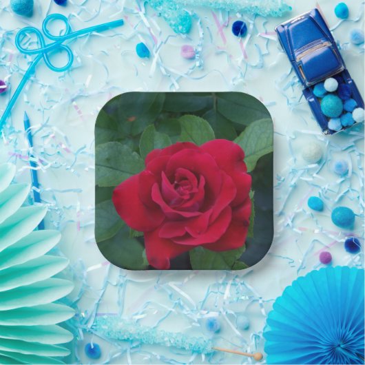 Rote Rose Nah Pappteller (Party)