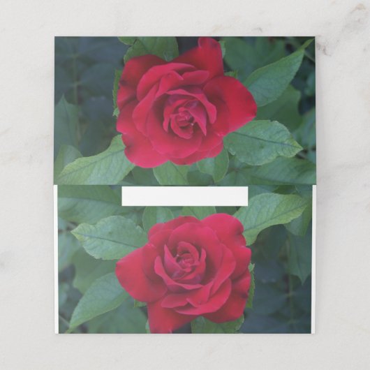 Rote Rose Nah Platzkarte (Außenseite Aufgefaltet)