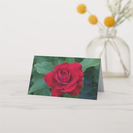 Rote Rose Nah Platzkarte (Rückseite)