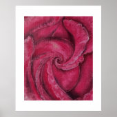 Rote Rose nah Poster (Vorne)