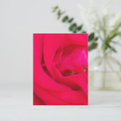 rote Rose Nah Postkarte (Stehend Vorderseite)