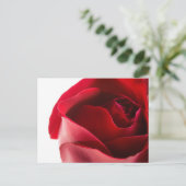 Rote Rose Nah Postkarte (Stehend Vorderseite)