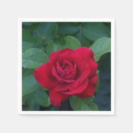 Rote Rose Nah Serviette