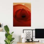 ROTE ROSE NAHAUFNAHME     POSTER (Heimbüro)