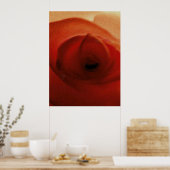 ROTE ROSE NAHAUFNAHME     POSTER (Küche)