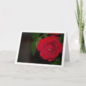 Rote Rose Night Portrait Karte (Vorderseite)