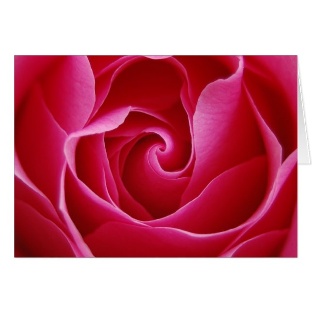 Rote Rose Notecard (Vorderseite (Horizontal))