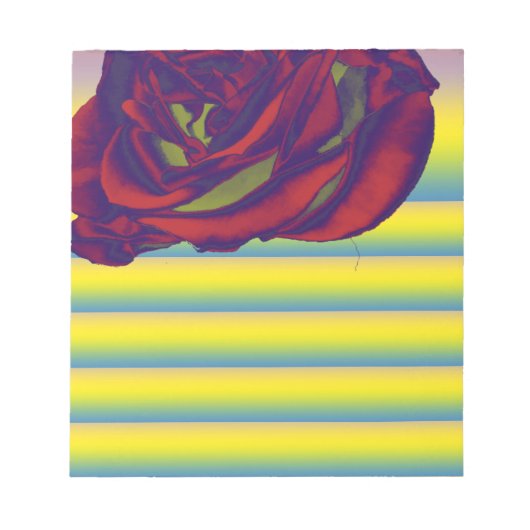 Rote Rose Notepad Notizblock (Vorderseite)