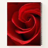 Rote Rose Notizblock (Rückseite)