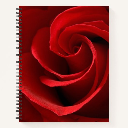 Rote Rose Notizblock (Vorderseite)