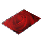 Rote Rose Notizblock (Linke Seite)