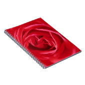 Rote Rose Notizblock (Rechte Seite)