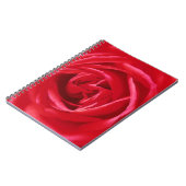 Rote Rose Notizblock (Linke Seite)