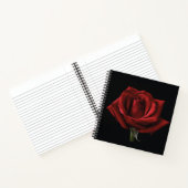 Rote Rose Notizblock (Innenseite)