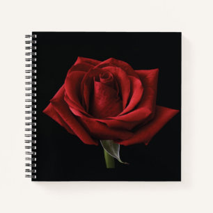 Rote Rose Notizblock