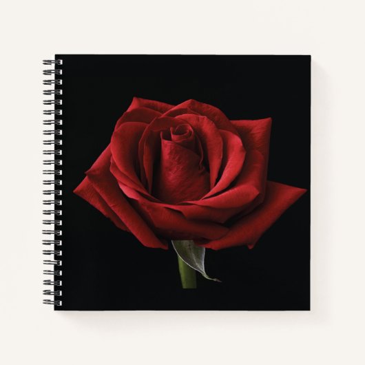 Rote Rose Notizblock (Vorderseite)