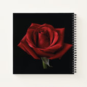 Rote Rose Notizblock (Rückseite)