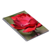 Rote Rose Notizblock (Rechte Seite)