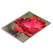 Rote Rose Notizblock (Linke Seite)