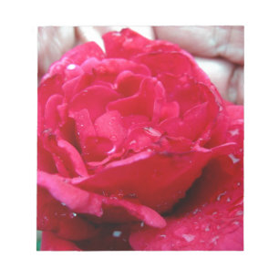 Rote Rose Notizblock
