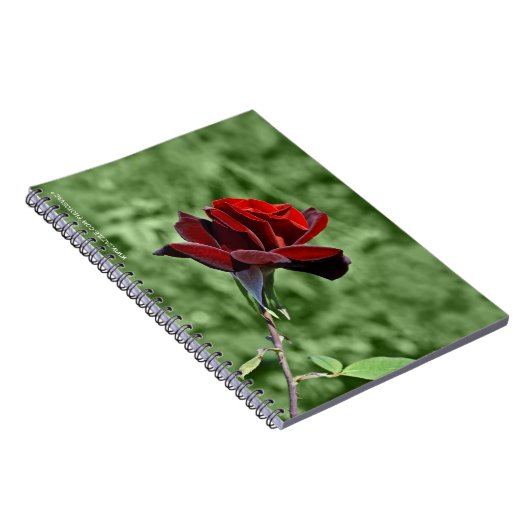 Rote Rose Notizblock (Rechte Seite)