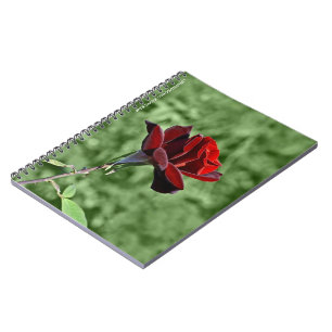 Rote Rose Notizblock