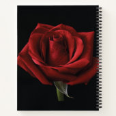 Rote Rose Notizblock (Rückseite)