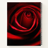 Rote Rose Notizblock (Rückseite)