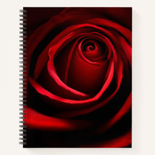 Rote Rose Notizblock