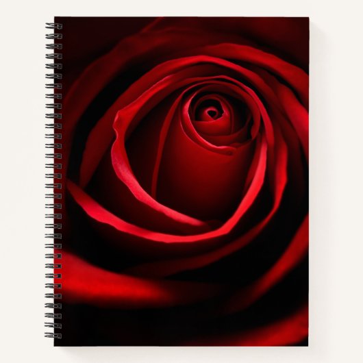 Rote Rose Notizblock (Vorderseite)