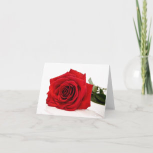 Rote Rose Notizkarte Feiertagskarte