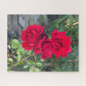 Rote Rose, Oakland Puzzle (Horizontal)
