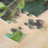 Rote Rose, Oakland Puzzle (Seite)